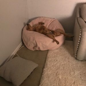 Meet your Posher, Ella